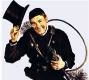 Bridgewater Top Hat Chimney Sweep MA